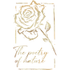 Rose avec cadre et lettrage