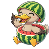 Cute duck in watermelon costume