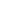 Dove of Peace Line Art