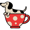 Cute Dachshund Teacup Dog