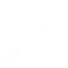 Star Magic Wand