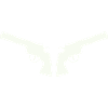weapon