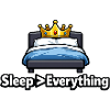 Funny Sleep Lover Crown Bed Design