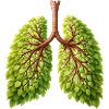 Lung Nature Tree Design