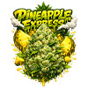 Pineapple Express Tropical Graffiti Print