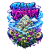 Blue Dream Berry Graffiti-Kunstdruck