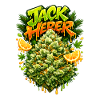 Jack Herer Pine Citrus Graffiti Print 