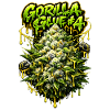 Gorilla Glue #4 Graffiti-Bud-Print