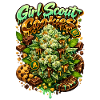 Girl Scout Cookies Graffiti Print