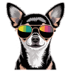 Chihuahua with sunglasses