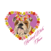 Resting B!tch Face Bulldog
