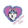 Ruhende B!tch Gesicht Husky