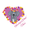 Ruhende Dogge