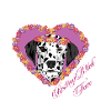 Resting B!tch Face Dalmatian