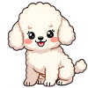 Pudel Hund