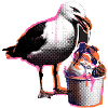 Möwe Isst Eis