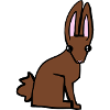 brown bunny