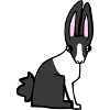 lapin