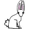 white bunny