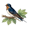HIrondelle on leafy branch