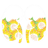 Organspende Transplantation Nierenspender