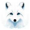 Arctic fox
