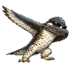 Dabbing Falcon
