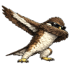Dabbing buzzard