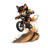 Fox BMX Jump Ramp Stunt