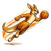 Kangaroo Basket Throw