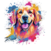 Splash Art Golden Retriever