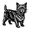 Cairn Terrier