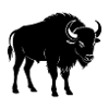 Buffalo