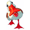 Canard