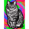 chat