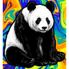 panda