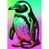 penguin