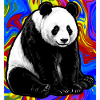 panda