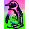 penguin