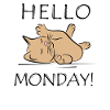 Lazy Cat Monday Later No