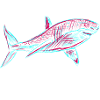 Neo Shark