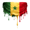 Senegal Flag Drop Art