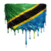 Tanzania Flag Drop Art
