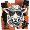 Sheep sheep
