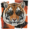 Tiger Sunglasses Risography
