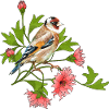 Bunter Vogel