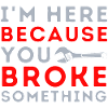 Here Because You Broke Something