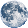 Moonlight Silhouette