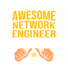 Network Engineer Programmer Computer Scientist