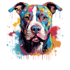 Pitbull Dog Bunte Spritzkunst